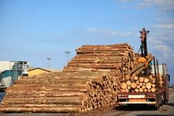 kiev, Import export de bois,Import export de grumes, tourisme en ukraine